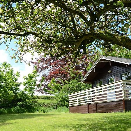 Avallon Lodges Launceston Zewnętrze zdjęcie