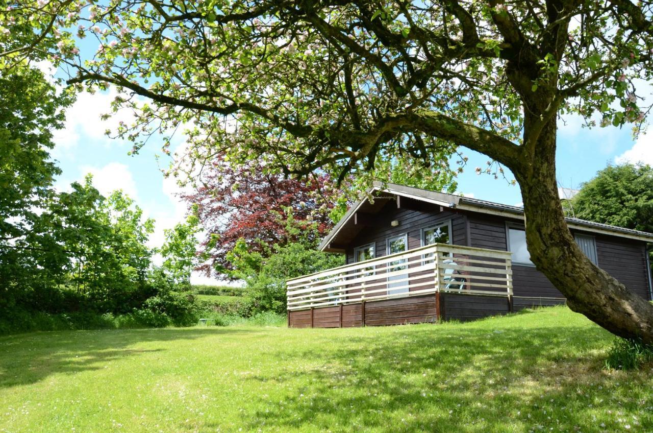 Avallon Lodges Launceston Zewnętrze zdjęcie