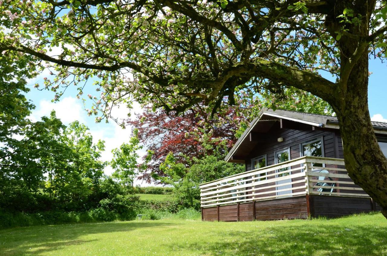 Avallon Lodges Launceston Zewnętrze zdjęcie
