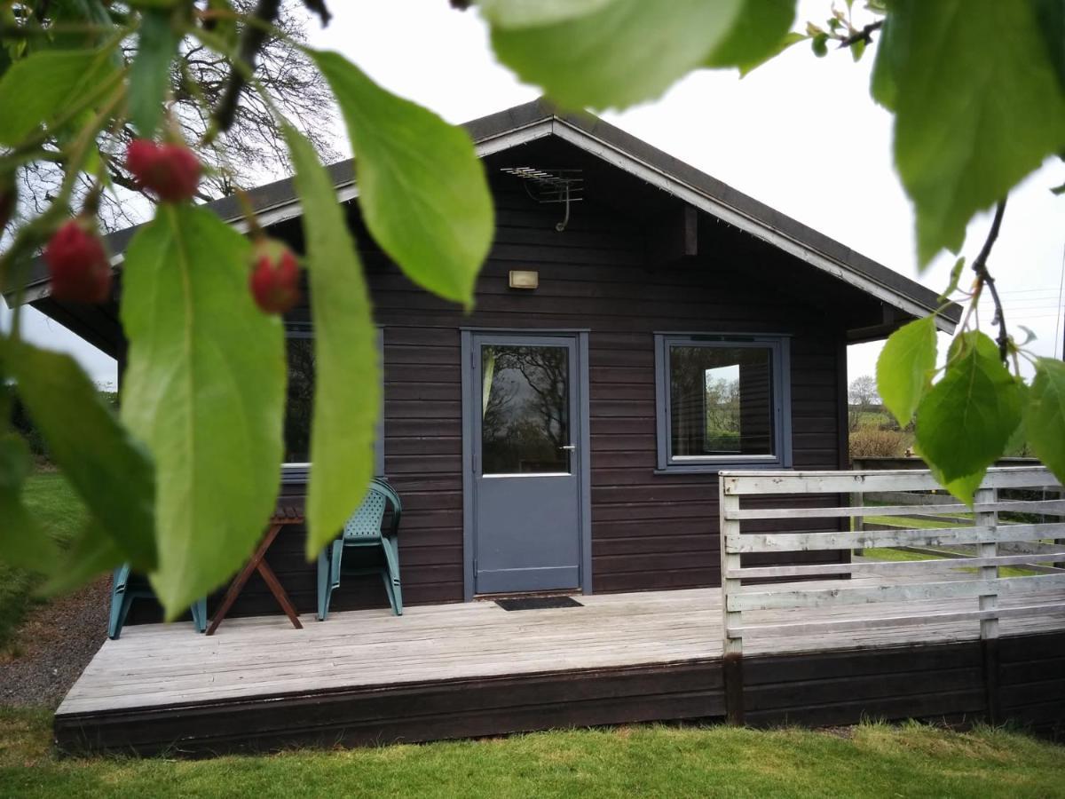 Avallon Lodges Launceston Zewnętrze zdjęcie