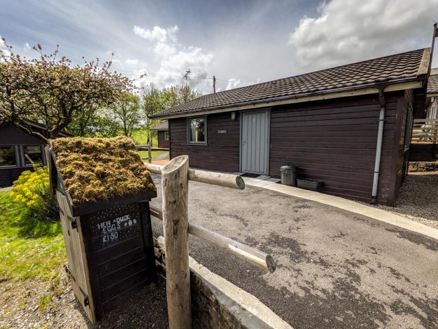 Avallon Lodges Launceston Zewnętrze zdjęcie
