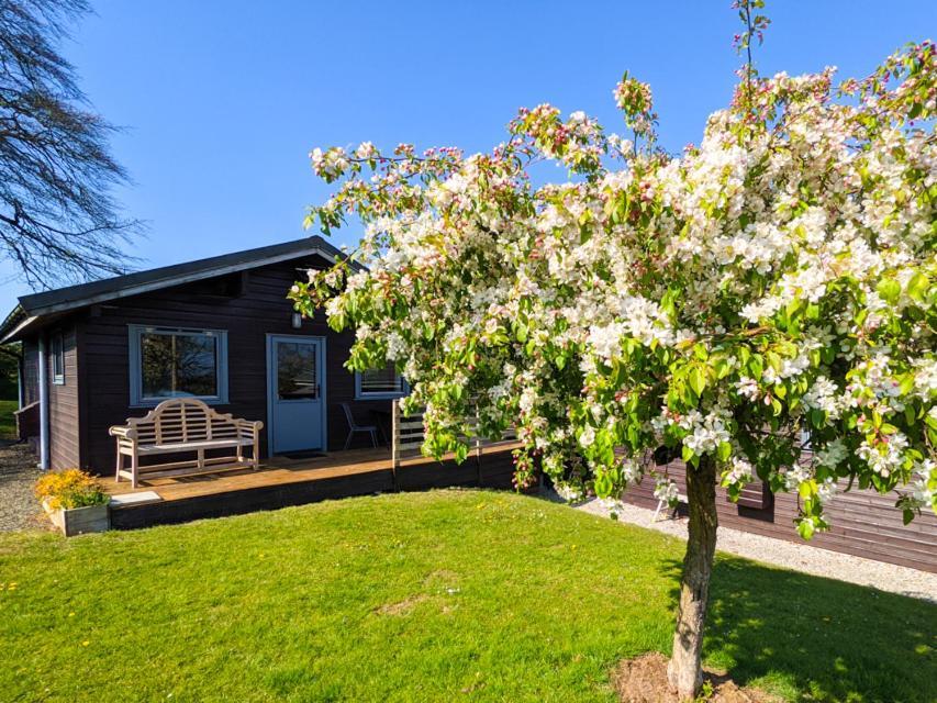 Avallon Lodges Launceston Zewnętrze zdjęcie