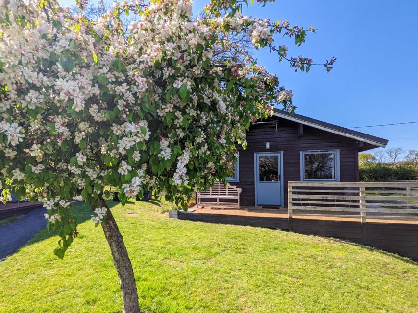 Avallon Lodges Launceston Zewnętrze zdjęcie